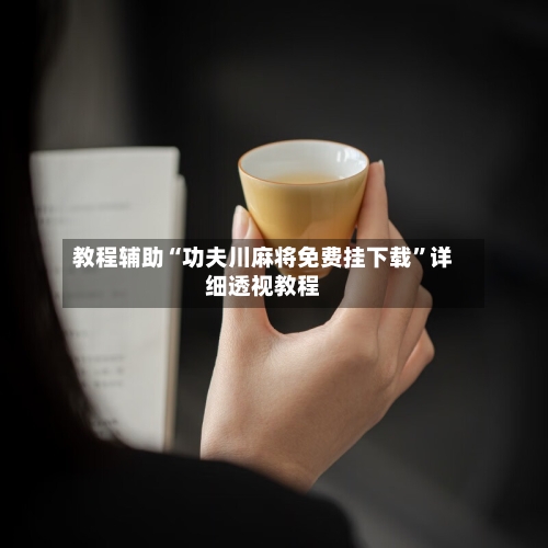 教程辅助“功夫川麻将免费挂下载”详细透视教程-第2张图片