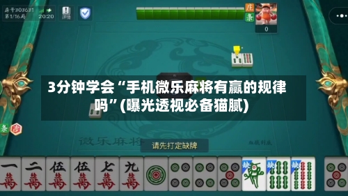 3分钟学会“手机微乐麻将有赢的规律吗”(曝光透视必备猫腻)-第2张图片