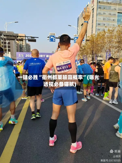 一键必胜“衢州都莱输赢概率	”(曝光透视必备猫腻)-第2张图片