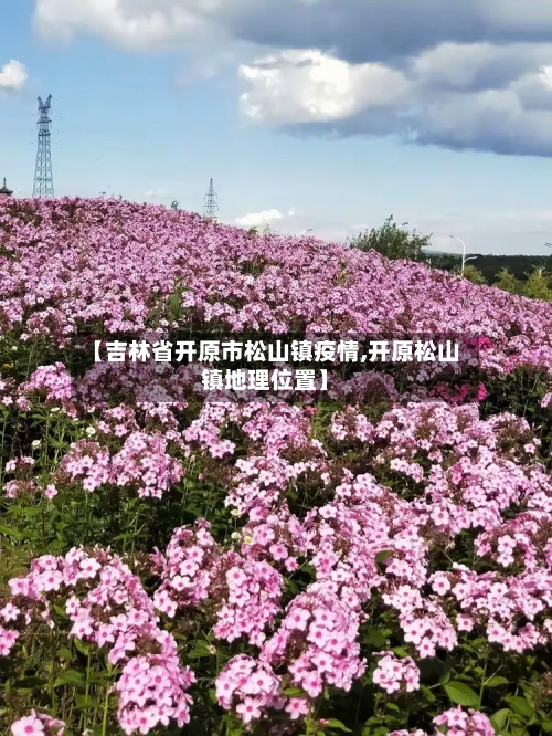 【吉林省开原市松山镇疫情,开原松山镇地理位置】