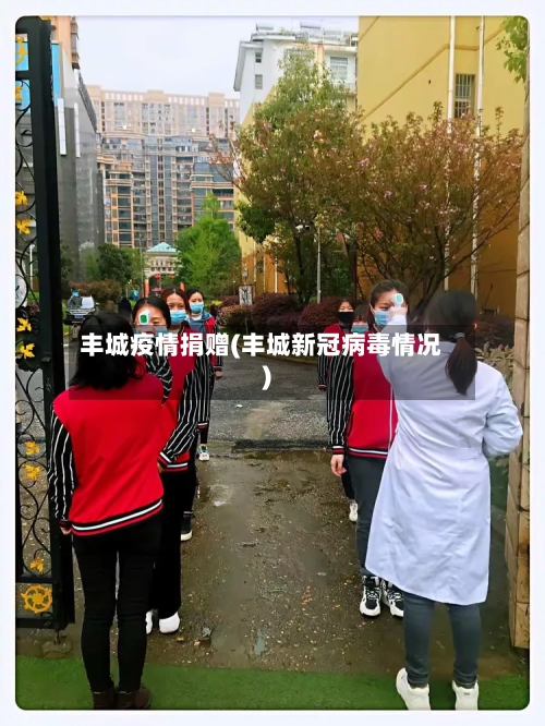 丰城疫情捐赠(丰城新冠病毒情况)