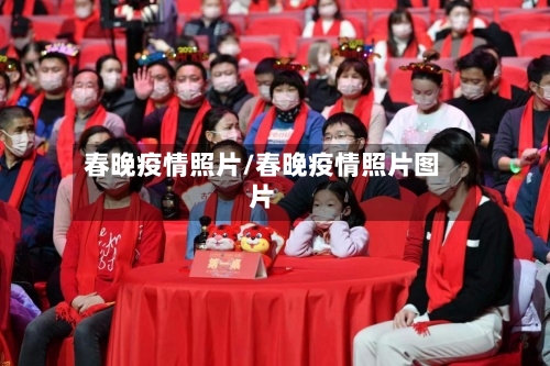 春晚疫情照片/春晚疫情照片图片-第2张图片