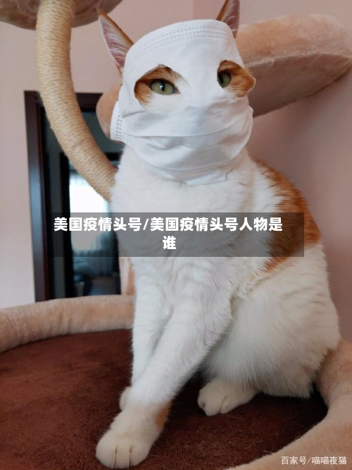 美国疫情头号/美国疫情头号人物是谁-第3张图片