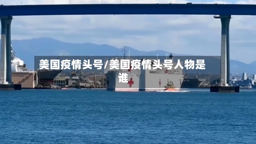 美国疫情头号/美国疫情头号人物是谁-第2张图片
