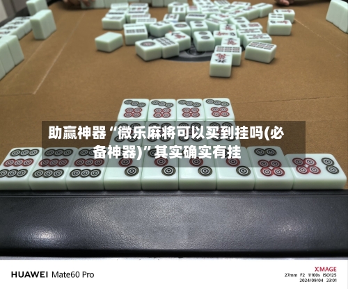 助赢神器“微乐麻将可以买到挂吗(必备神器)”其实确实有挂-第2张图片