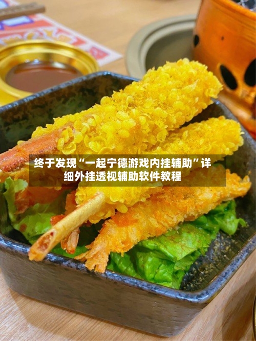 终于发现“一起宁德游戏内挂辅助”详细外挂透视辅助软件教程-第3张图片