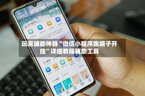 玩家辅助神器“微信小程序跑胡子开挂”详细教程辅助工具