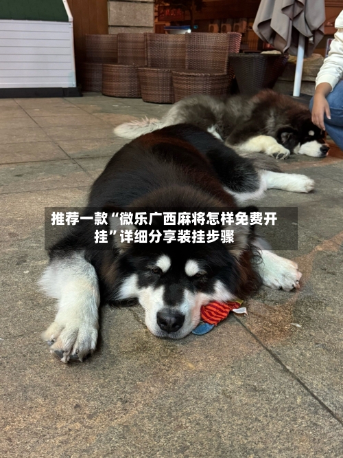 推荐一款“微乐广西麻将怎样免费开挂”详细分享装挂步骤