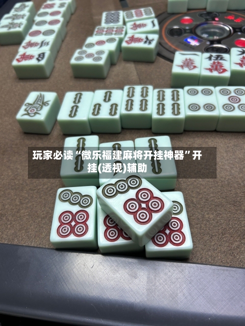 玩家必读“微乐福建麻将开挂神器”开挂(透视)辅助-第2张图片