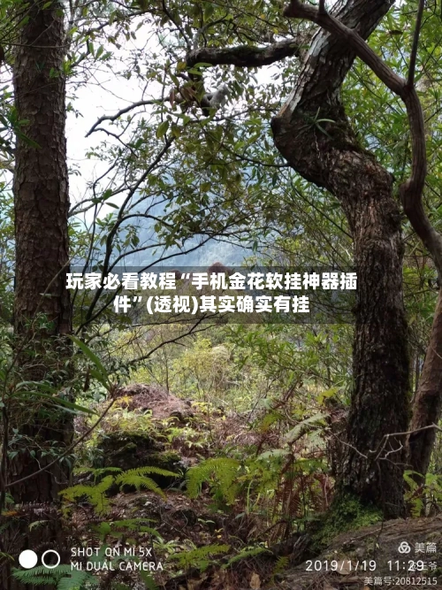 玩家必看教程“手机金花软挂神器插件”(透视)其实确实有挂