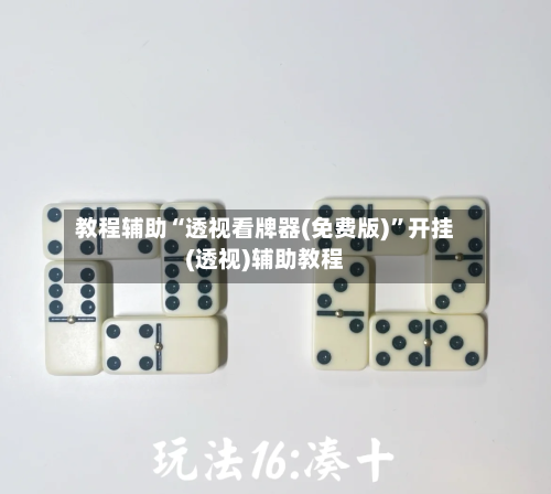 教程辅助“透视看牌器(免费版)”开挂(透视)辅助教程-第3张图片