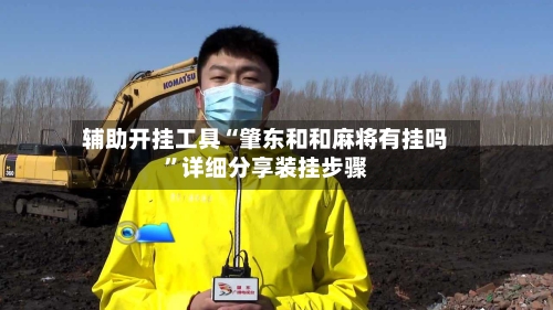 辅助开挂工具“肇东和和麻将有挂吗”详细分享装挂步骤-第3张图片