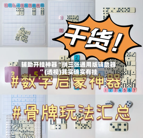 辅助开挂神器“拼三张通用版辅助器”(透视)其实确实有挂-第2张图片