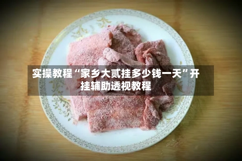 实操教程“家乡大贰挂多少钱一天”开挂辅助透视教程-第2张图片