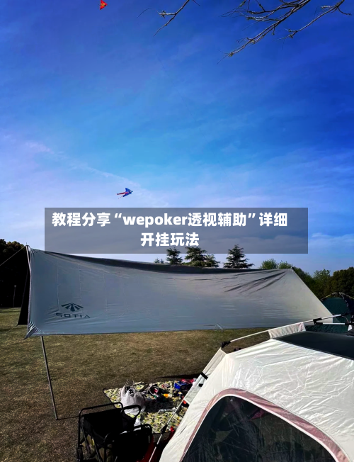教程分享“wepoker透视辅助	”详细开挂玩法-第2张图片