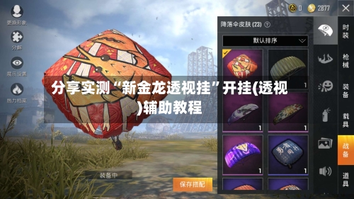 分享实测“新金龙透视挂	”开挂(透视)辅助教程-第2张图片