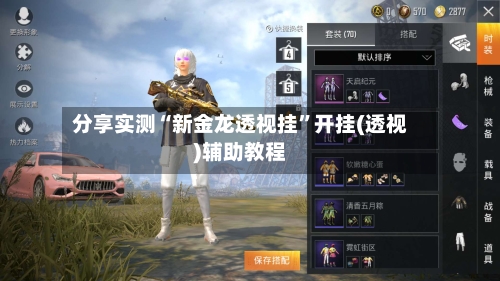 分享实测“新金龙透视挂”开挂(透视)辅助教程