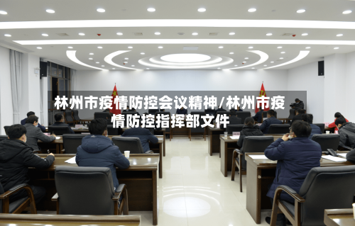 林州市疫情防控会议精神/林州市疫情防控指挥部文件-第2张图片