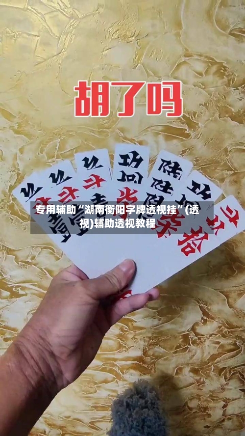 专用辅助“湖南衡阳字牌透视挂”(透视)辅助透视教程-第2张图片