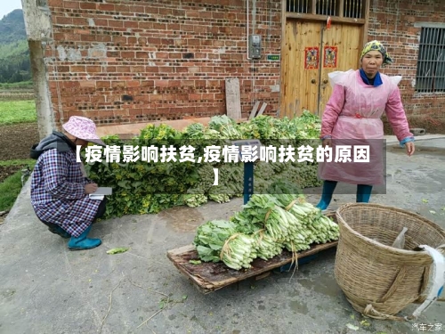 【疫情影响扶贫,疫情影响扶贫的原因】-第2张图片