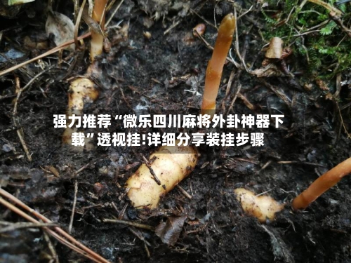 强力推荐“微乐四川麻将外卦神器下载”透视挂!详细分享装挂步骤-第2张图片