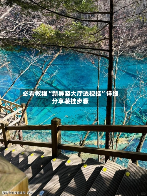 必看教程“新导游大厅透视挂”详细分享装挂步骤-第2张图片