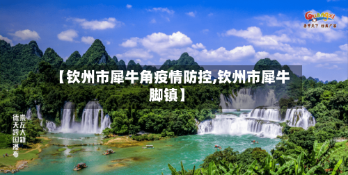 【钦州市犀牛角疫情防控,钦州市犀牛脚镇】