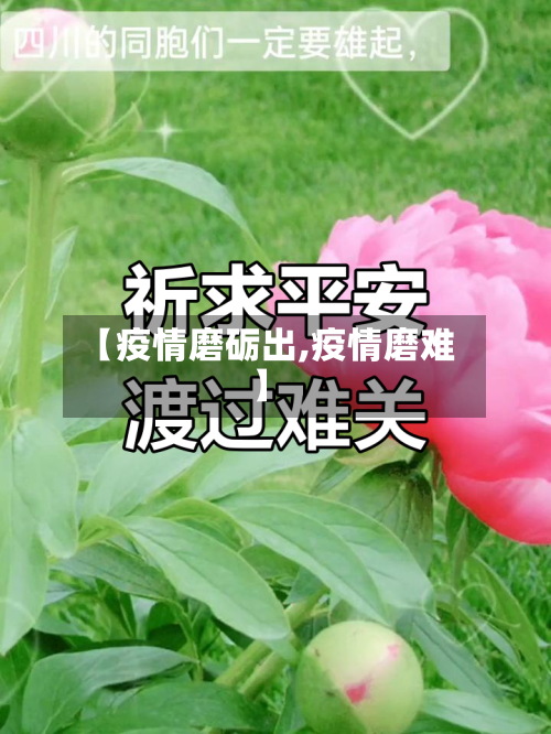 【疫情磨砺出,疫情磨难】-第2张图片