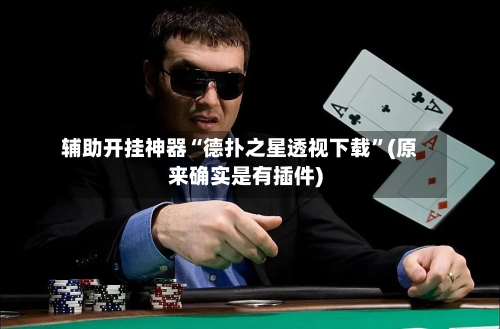 辅助开挂神器“德扑之星透视下载”(原来确实是有插件)