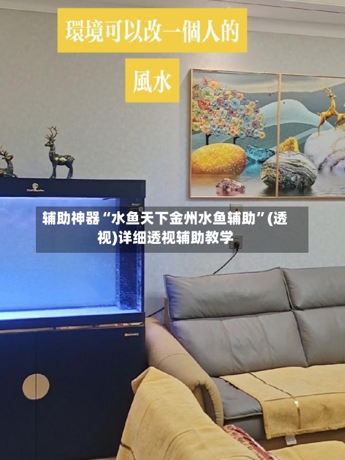 辅助神器“水鱼天下金州水鱼辅助”(透视)详细透视辅助教学