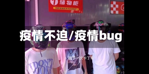 疫情不迫/疫情bug