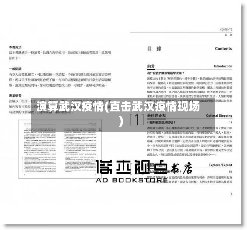 演算武汉疫情(直击武汉疫情现场)-第2张图片