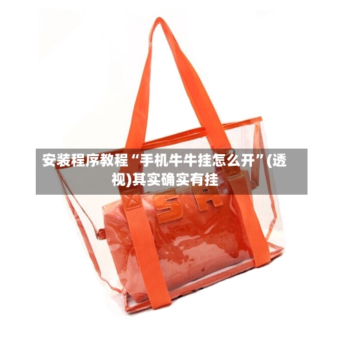 安装程序教程“手机牛牛挂怎么开”(透视)其实确实有挂