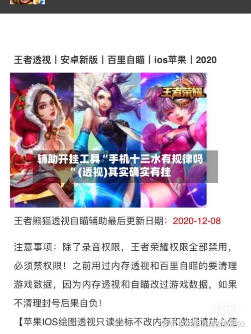 辅助开挂工具“手机十三水有规律吗”(透视)其实确实有挂-第2张图片