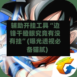 辅助开挂工具“边锋干瞪眼究竟有没有挂”(曝光透视必备猫腻)-第2张图片