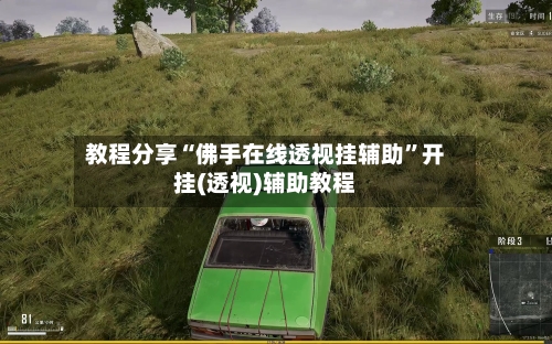 教程分享“佛手在线透视挂辅助”开挂(透视)辅助教程-第2张图片