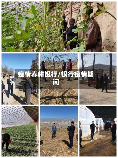 疫情春耕银行/银行疫情期间