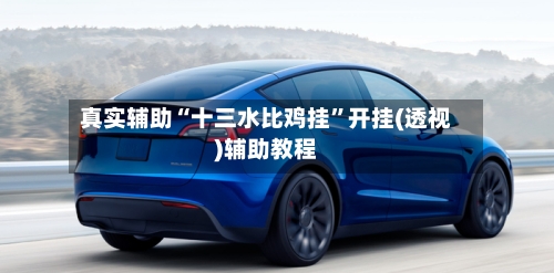 真实辅助“十三水比鸡挂	”开挂(透视)辅助教程-第2张图片
