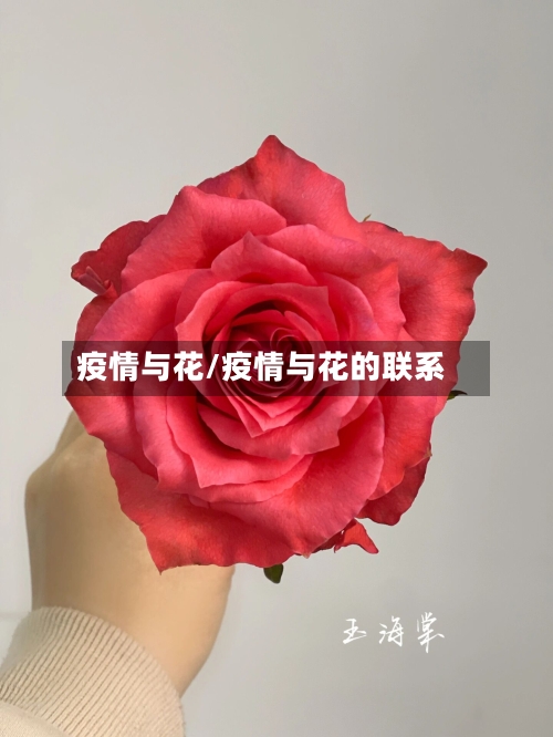 疫情与花/疫情与花的联系-第2张图片