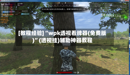 [教程经验]“wpk透视看牌器(免费版)”(透视挂)辅助神器教程-第3张图片