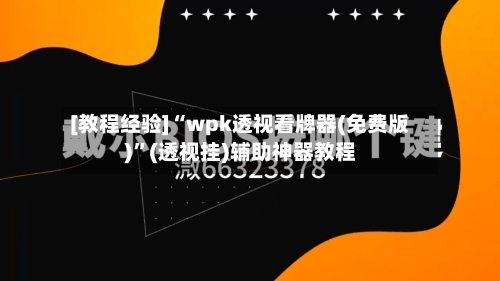 [教程经验]“wpk透视看牌器(免费版)	”(透视挂)辅助神器教程-第2张图片