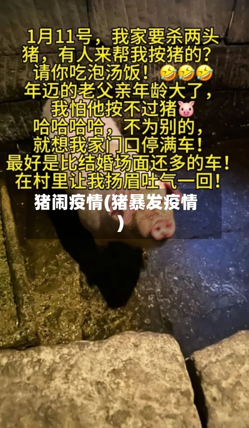 猪闹疫情(猪暴发疫情)
