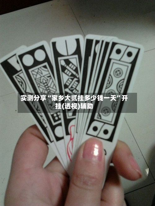 实测分享“家乡大贰挂多少钱一天”开挂(透视)辅助-第2张图片