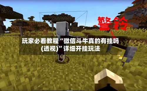 玩家必看教程“微信斗牛真的有挂吗(透视)	”详细开挂玩法-第3张图片