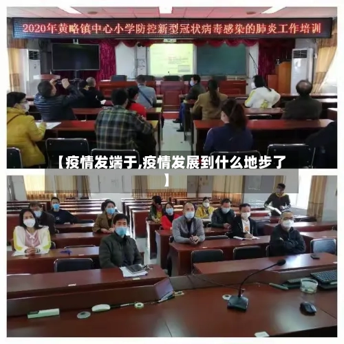 【疫情发端于,疫情发展到什么地步了】-第3张图片