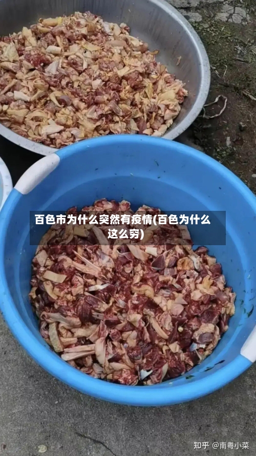 百色市为什么突然有疫情(百色为什么这么穷)-第2张图片