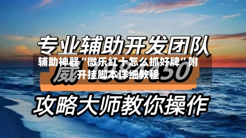 辅助神器“微乐红十怎么抓好牌”附开挂脚本详细教程-第2张图片