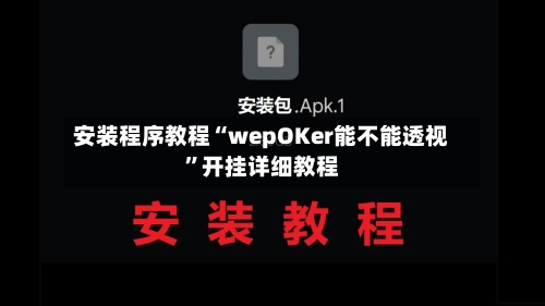 安装程序教程“wepOKer能不能透视”开挂详细教程-第3张图片