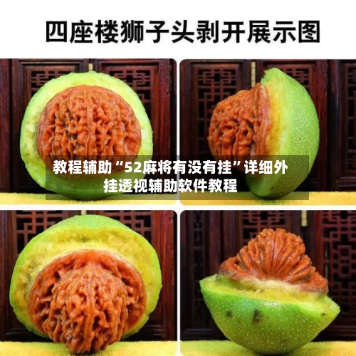 教程辅助“52麻将有没有挂”详细外挂透视辅助软件教程-第3张图片