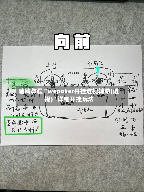 辅助教程“wepoker开挂透视辅助(透视)”详细开挂玩法-第2张图片